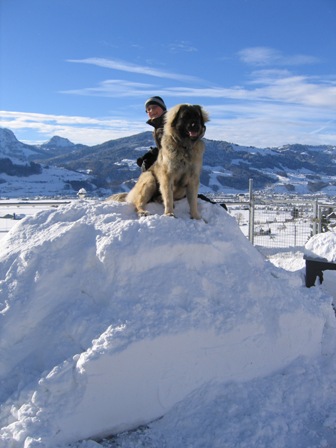 Dezember 2010